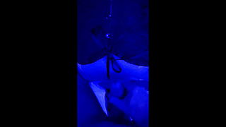 Blue Lights amp; Boundless Pleasure: A Master039;s Delight
